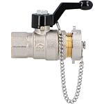 Ball valve with closure cap