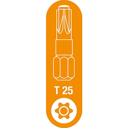 SPAX®-BIT T-Star plus T 25 Piktogramm 1