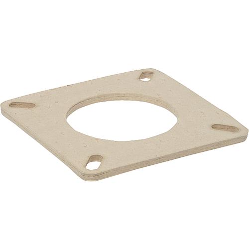 Flange gasket Standard 1