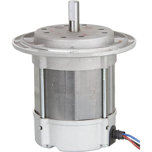 Motor Riello 3005286