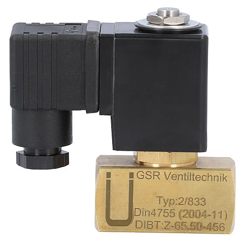 Siphon protection solenoid valve DN 10 (3/8) GSR