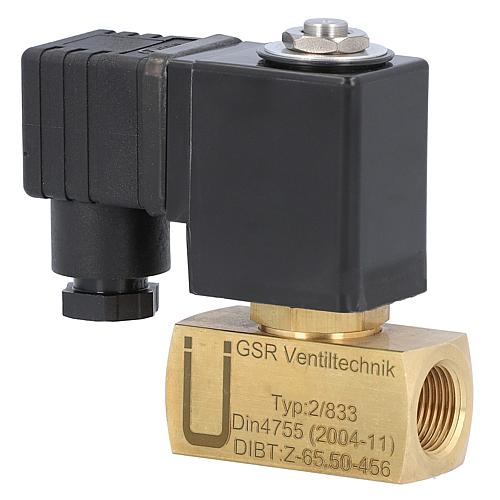 Siphon protection solenoid valve DN 10 (3/8) GSR