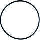 O-Ring (lid seal) 3007162 SINGLES