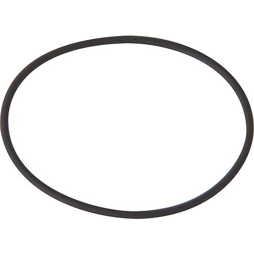 O-ring Standard 1