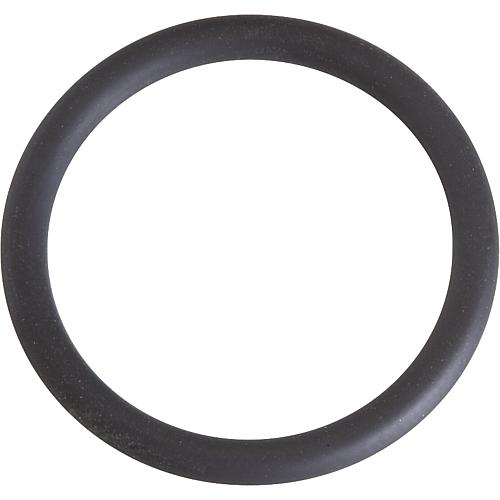 O-ring for flange