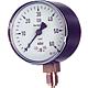 Capsule element pressure gauge KP 63.3  1/4" rad. 0-60 mbar