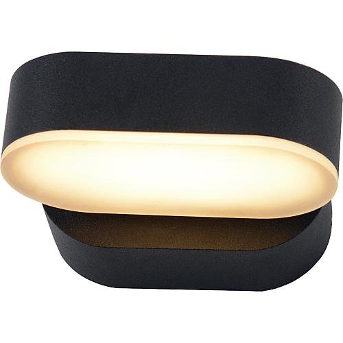 External LED wall light Oval Standard 1