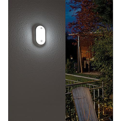 LED Luminaire ovale 15W 1600lm, 4000 K avec detecteur de mouvement