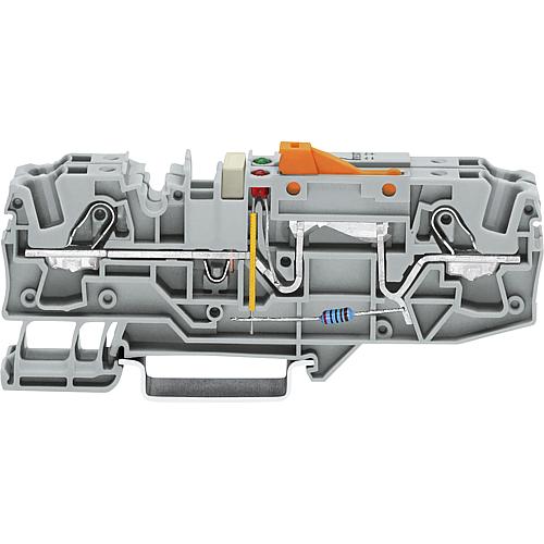 Erdleiter-Trennklemme mit Prüfmöglichkeit Wago Standard 1