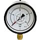 Differential pressure gauge ø 100 mm, 2x DN 15 (1/2") radial Standard 2