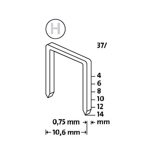 Fine wire staple H 37 Standard 2