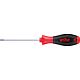 • Screwdriver Torx® with bore, round blade Standard 1