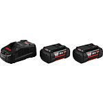 Battery set 36 V, 2 x 6.0 Ah batteries and charger