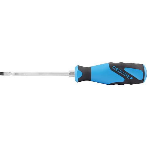 Slotted screwdriver with striking cap, hexagonal blade