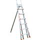 Extension ladder for trees, two-part Standard 1