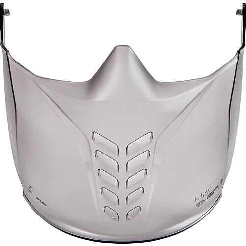 Protective visor GOGGLE Standard 1