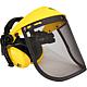 Face protection with hearing protection Standard 1