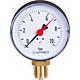 Rohrfeder-Manometer DN 15 (1/2") radial Standard 1