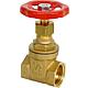 Gate valve made of brass Standard 1