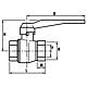 Ball valve, IT x IT, with lever handle Standard 2