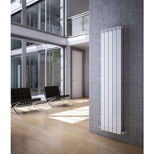 Aluminium radiator Maior Dual 80, model 2000/80 Anwendung 1