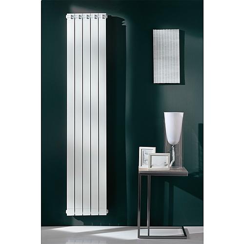 Aluminium radiator Maior Dual 80, model 2000/80 Anwendung 5