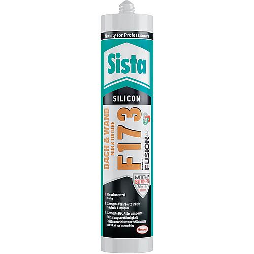 Premium-Silikon Sista F173 Dach und Wand Standard 1