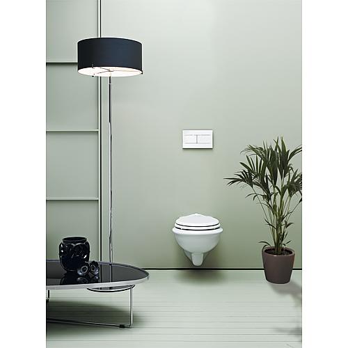 Jubiläum wall-mounted washdown toilet Anwendung 2