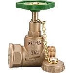 Boiler drain valve