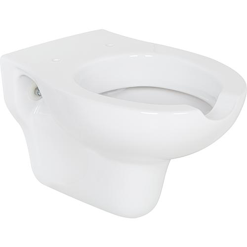 Wand-Tiefspül-WC Elida Anwendung 1