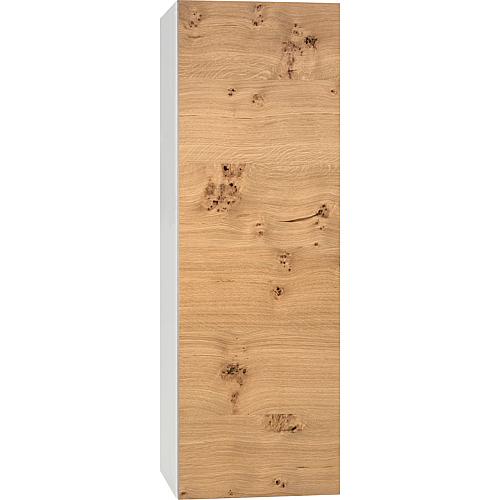 Hochschrank Ela Standard 5