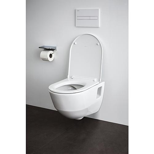 WC-Combi-Pack Pro, spülrandlos Anwendung 3