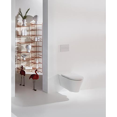 Wall washdown toilet Kartell, rimless
 Anwendung 1