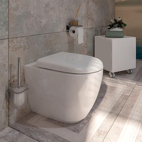 AIMERA pedestal washdown WC, rimless
 Anwendung 6