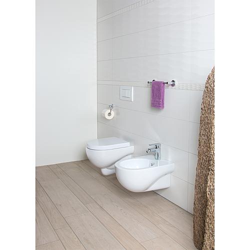 Wall washdown toilet Mini-Nuvola Anwendung 1
