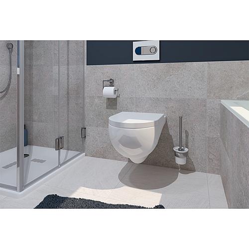 Wall washdown toilet Mini-Nuvola Anwendung 2