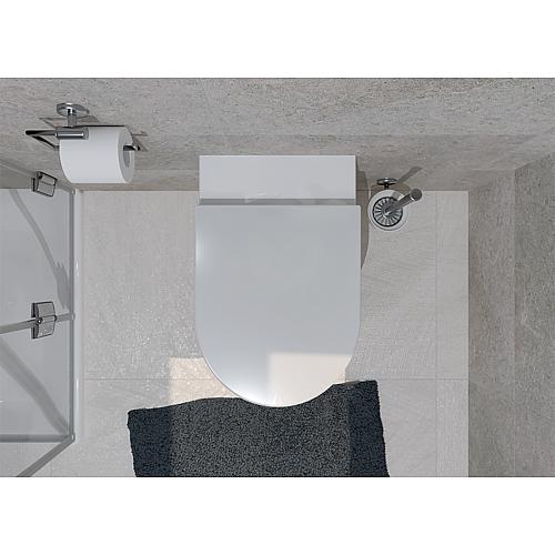 Wall washdown toilet Mini-Nuvola Anwendung 3