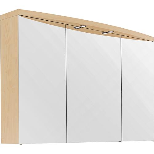 Mirror cabinet with LED lighting Standard 3