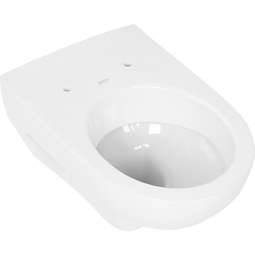 Renova wall-mounted washdown toilet Anwendung 1