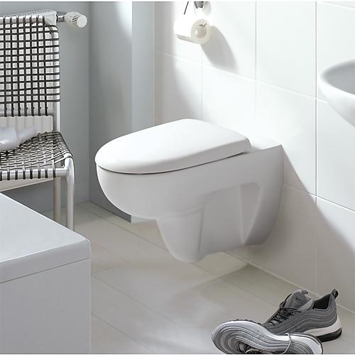 Renova wall-mounted washdown toilet Anwendung 2