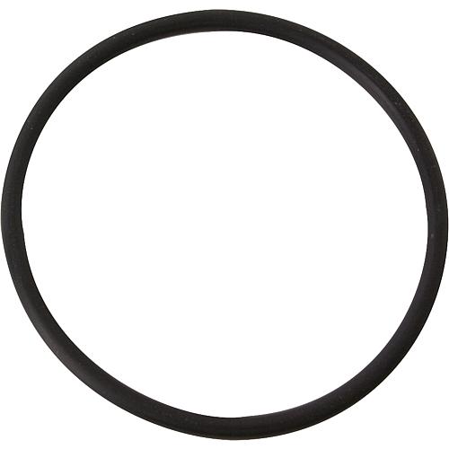 O-Ring Standard 1