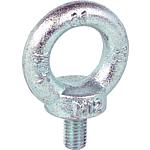 Ring screws C 15 E DIN 580 galvanised