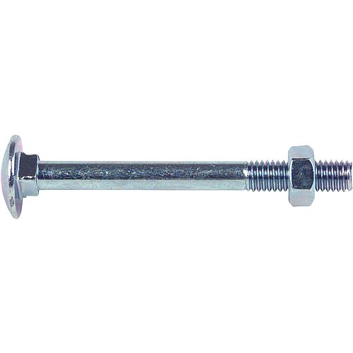 Flat round-head screw DIN 603-4.6 Mu, electrogalvanised, thread ø 10 mm