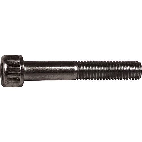 Cylinder screws with hexagonal socket 10.9 DIN EN ISO 4762 blank M 12