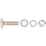 Carriage bolt M8 x 30 mm