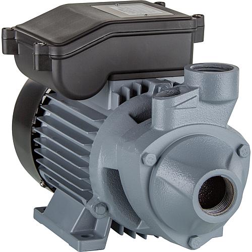 Replacement pump P80 Standard 1