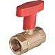 Ball valves with check valve and Iso-T handle Standard 1